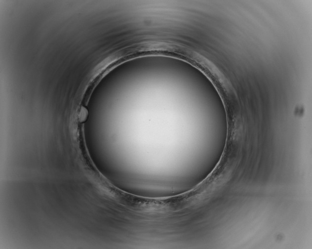 X0000102830786200808181323