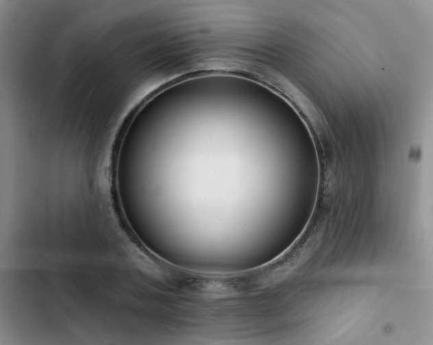 X0000102830787200808181323