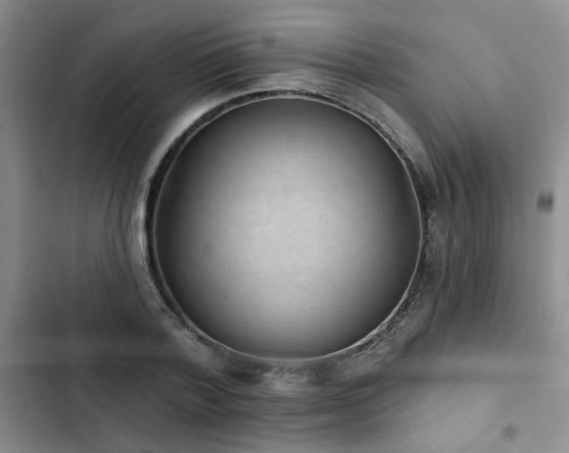 X0000102830788200808181323
