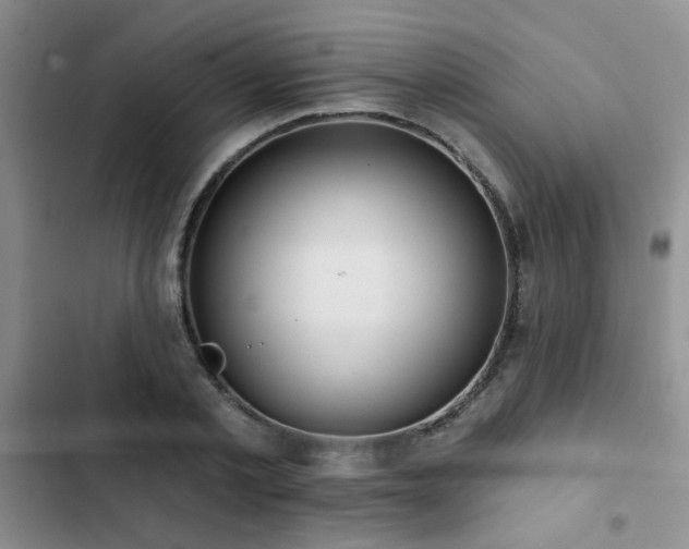X0000102830789200808181323