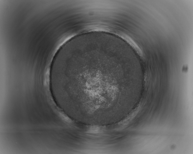 X0000102830790200808181323