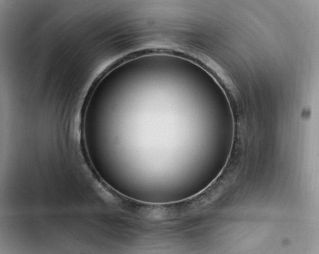 X0000102830791200808181323