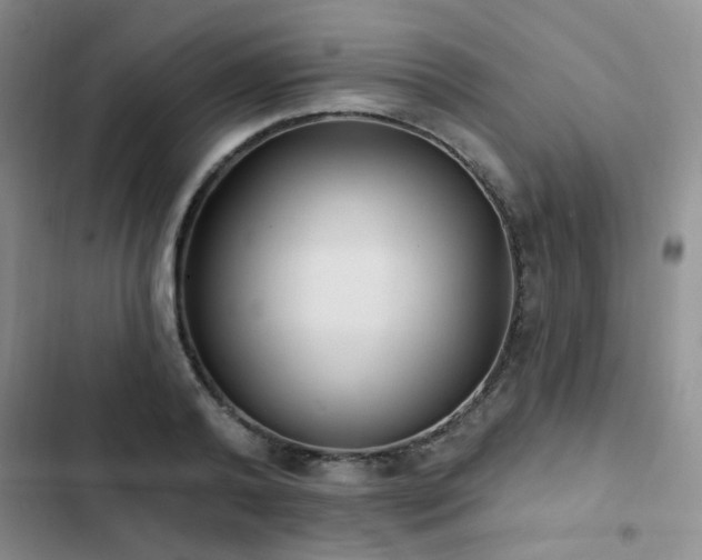 X0000102830792200808181323