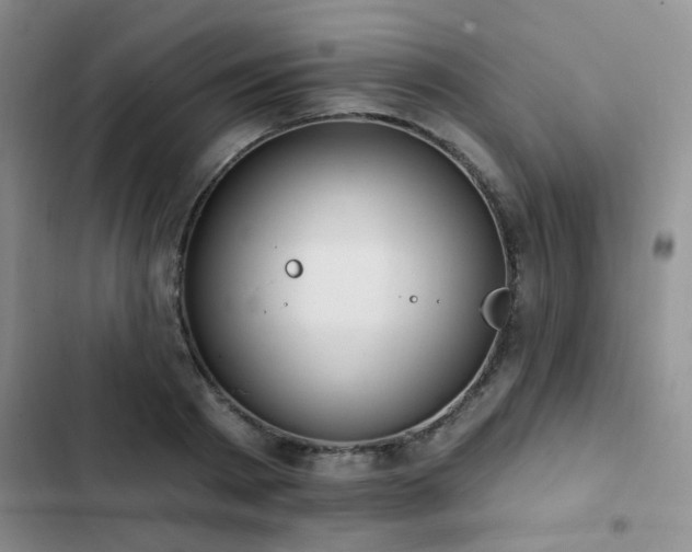 X0000102830793200808181323
