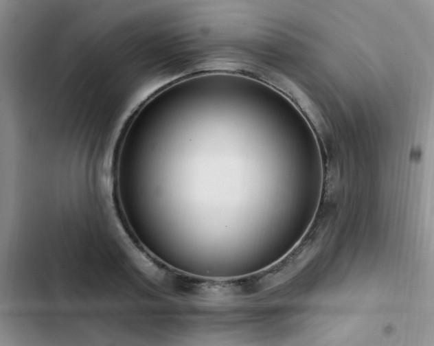X0000102830795200808181323