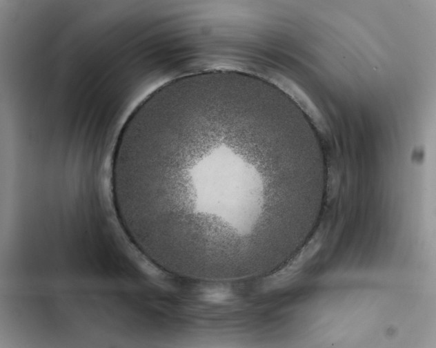 X0000102830798200808181323