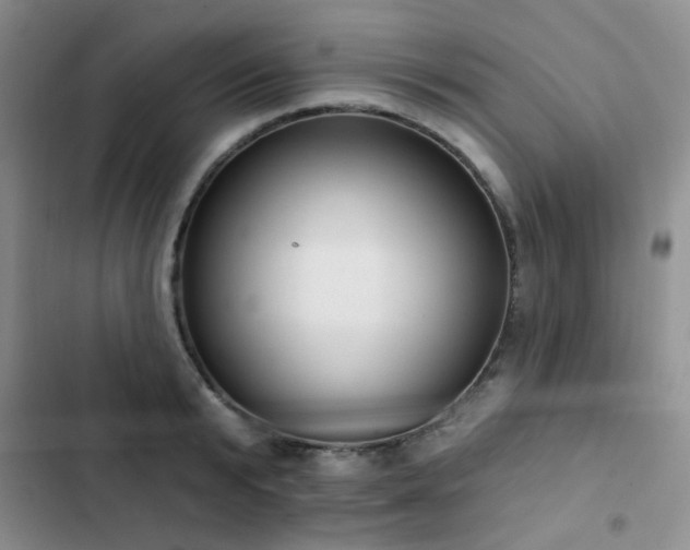 X0000102830799200808181323