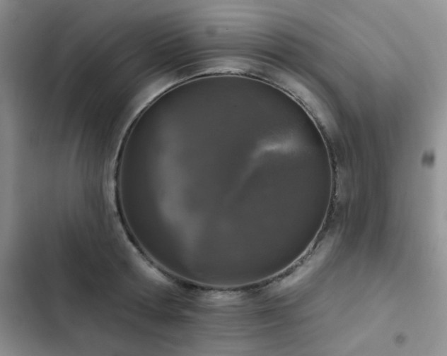 X0000102830802200808181323