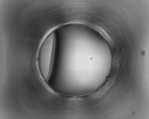 X0000102830804200808181323