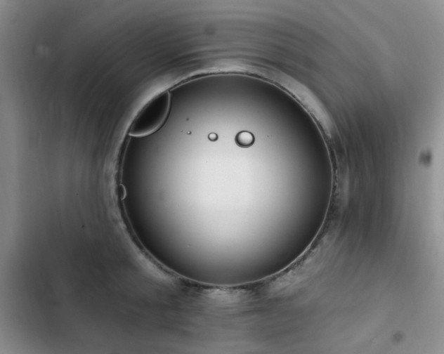 X0000102830805200808181323