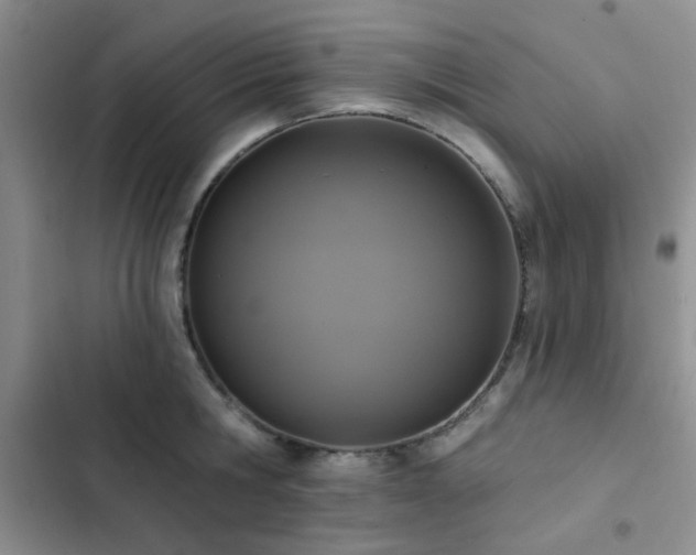 X0000102830806200808181323