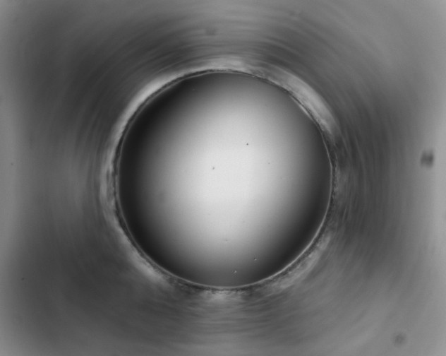 X0000102830808200808181323