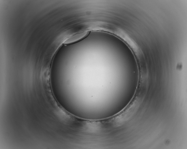 X0000102830809200808181323