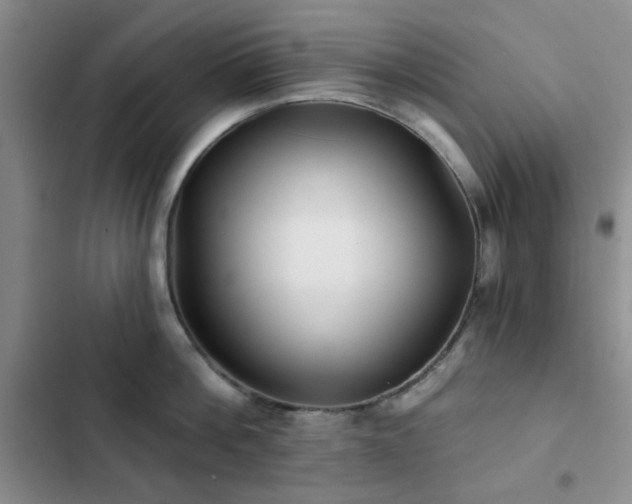 X0000102830812200808181322