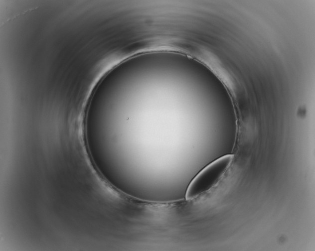 X0000102830813200808181322