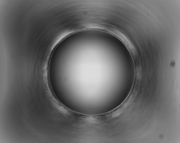 X0000102830814200808181322