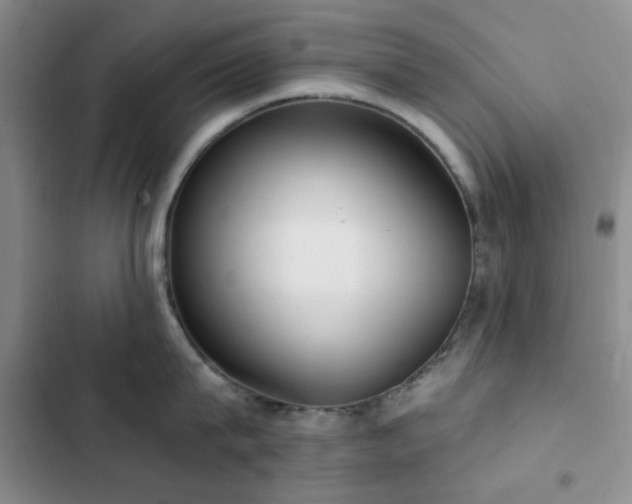 X0000102830815200808181322