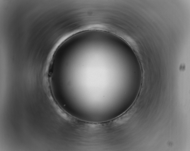 X0000102830816200808181322