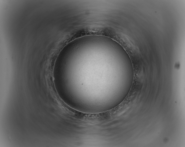 X0000102830817200808181322