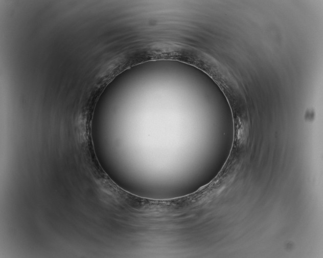 X0000102830819200808181322