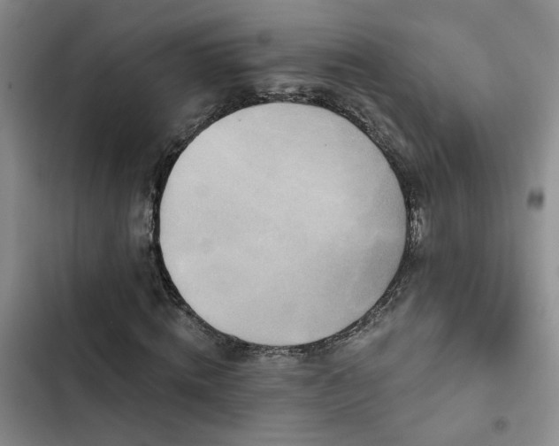 X0000102830820200808181322