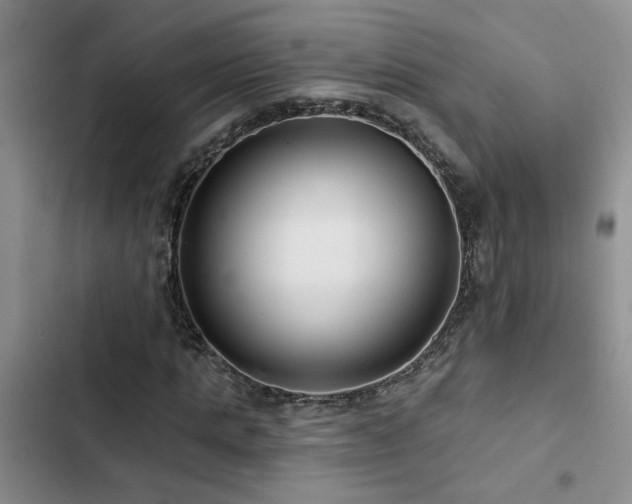 X0000102830821200808181322