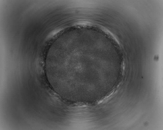 X0000102830822200808181322