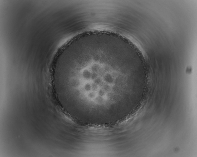 X0000102830823200808181322