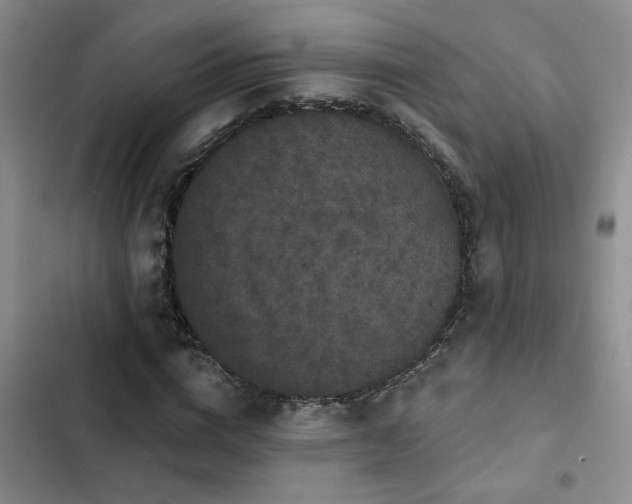 X0000102830824200808181322