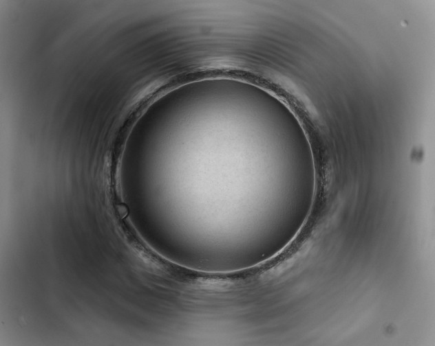 X0000102830825200808181322
