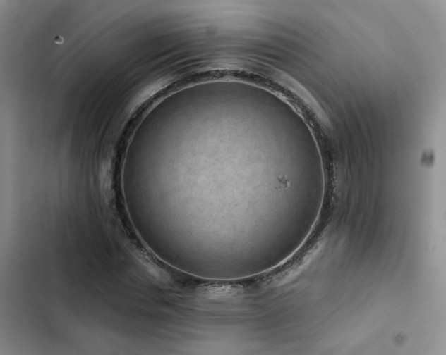 X0000102830826200808181322
