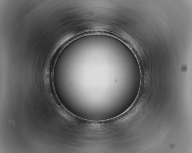 X0000102830827200808181322