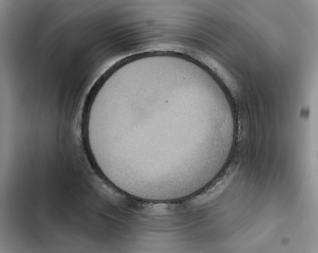 X0000102830828200808181322