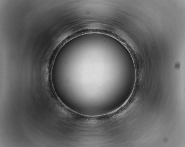 X0000102830829200808181322