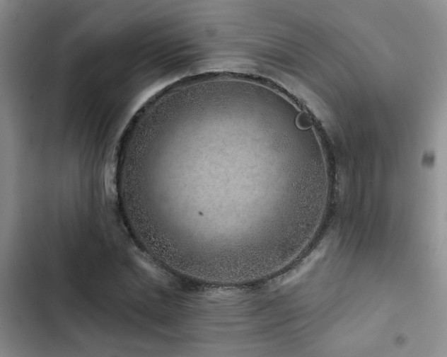 X0000102830830200808181322