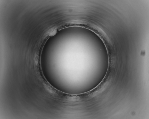 X0000102830833200808181322
