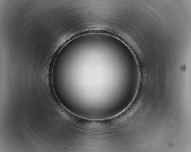 X0000102830834200808181322