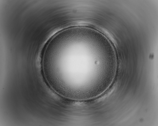 X0000102830835200808181322