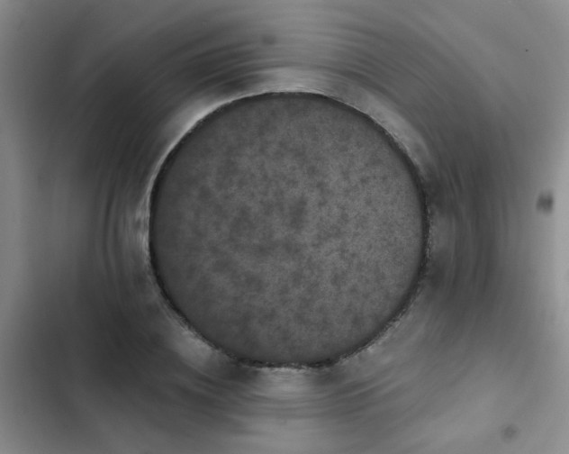 X0000102830836200808181322