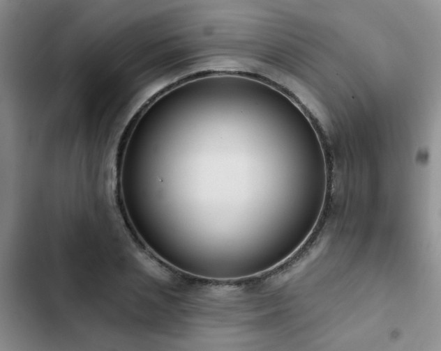 X0000102830837200808181322
