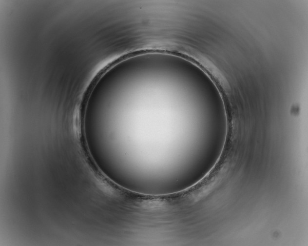 X0000102830838200808181322