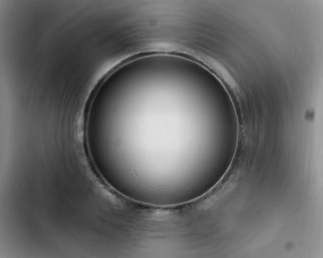 X0000102830839200808181322