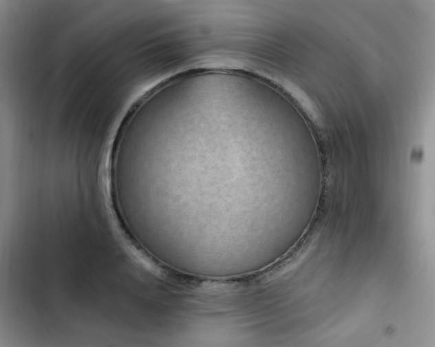 X0000102830840200808181322