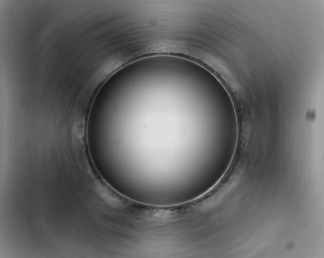 X0000102830841200808181322