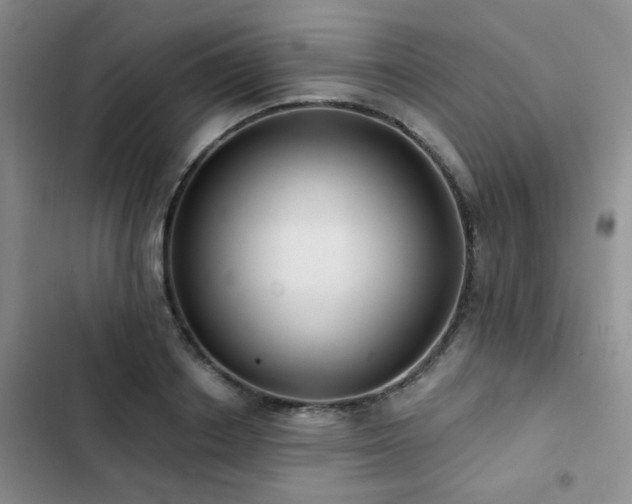 X0000102830842200808181322