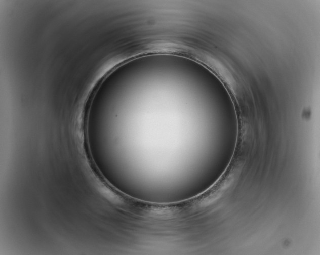 X0000102830843200808181322