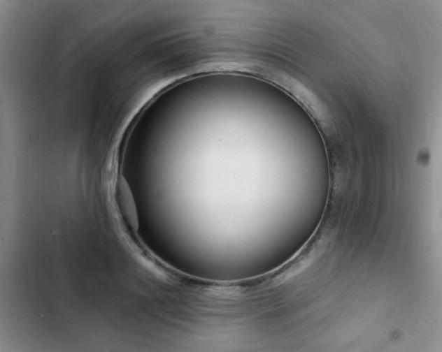 X0000102830844200808181322