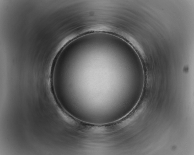 X0000102830845200808181322