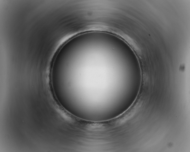 X0000102830846200808181322