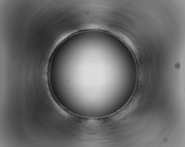 X0000102830847200808181322